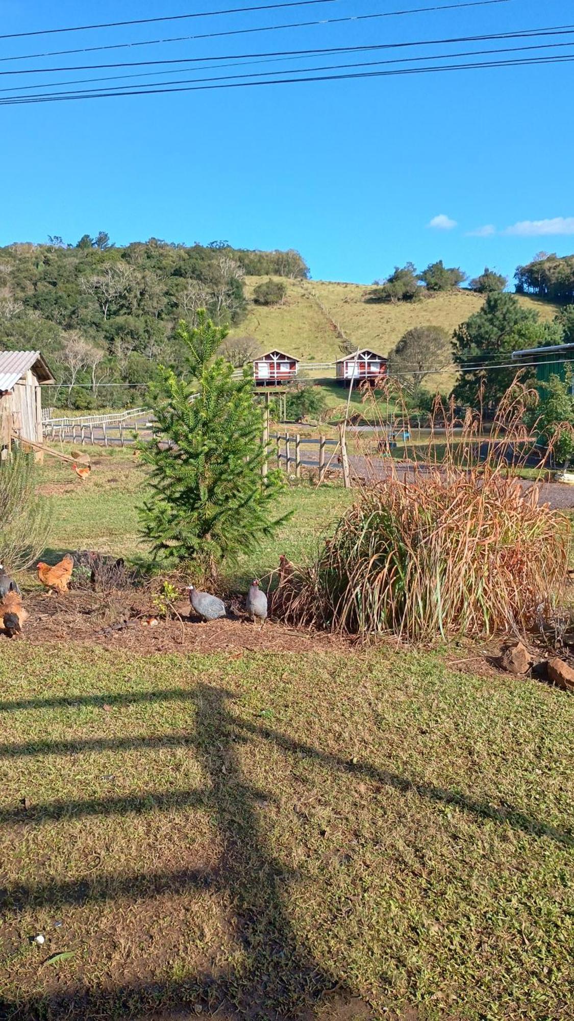 Pousada Rancho Do Lago Osorio Zimmer foto
